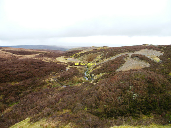 Photo 6"x4" Little Punchard Gill Whaw c2011