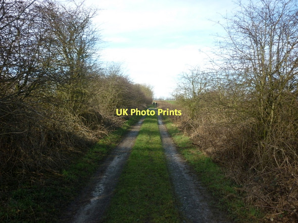 Photo 6"x4" A track leading to Cottam Airfield Langtoft\/TA0166 c2011