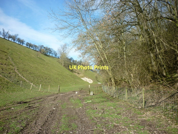 Photo 6"x4" Heading towards Cowlam Manor Cowlam Village c2011