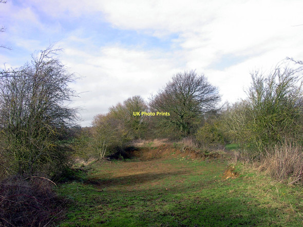 Photo 6"x4" Vanished Bridge Fernham\/SU2991 c2011