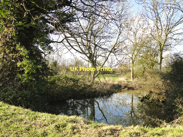 Photo 6"x4" Small pond beside the road at Benhall Saxmundham c2011