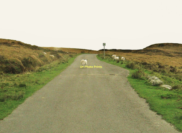 Photo 6"x4" A passing place on the road to Gatehouse of Fleet Craig of Grobdale c2010