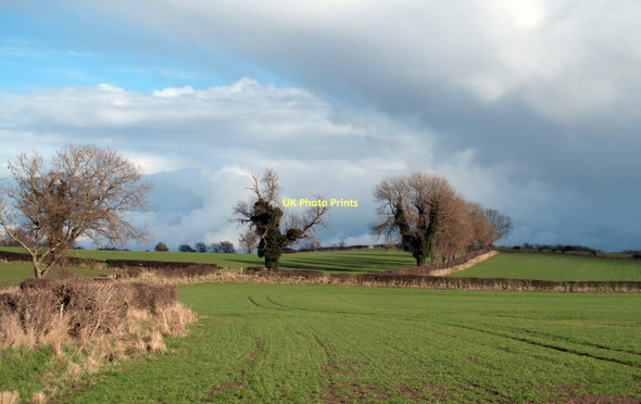 Photo 6"x4" Hedges as field boundaries east of B6275 Newton Morrell\/NZ2309 c2011