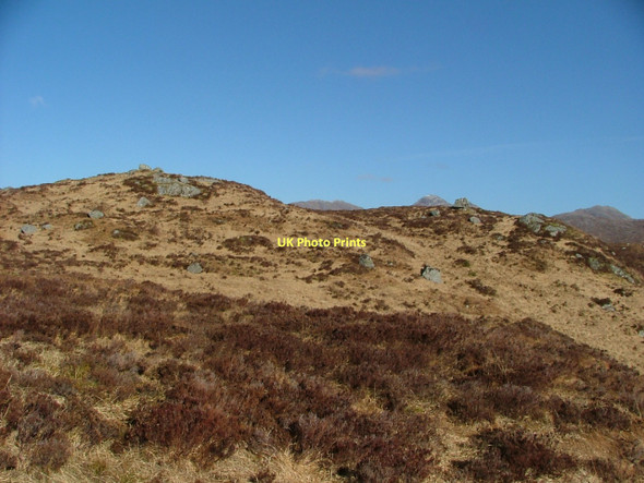 Photo 6"x4" Druim Liath Ard Ariundle c2011