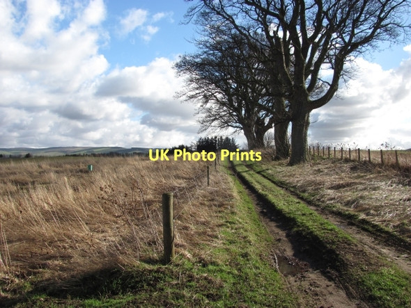 Photo 6"x4" Track, Costerton Mains Fala\/NT4361 c2011