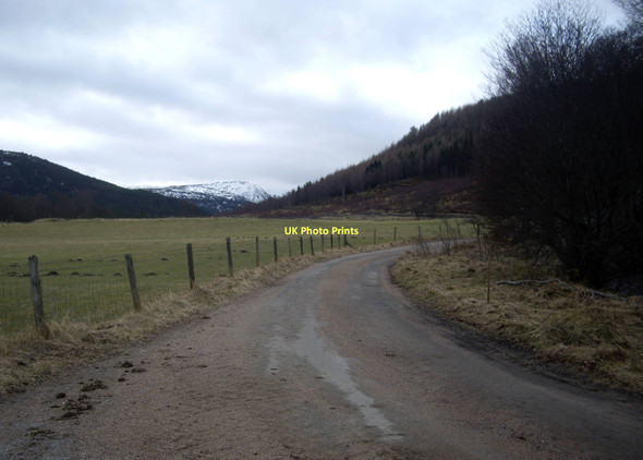 Photo 6"x4" Road to Thistledae Thistledae c2011
