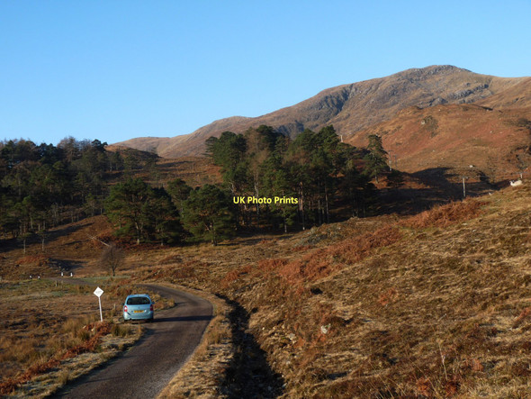 Photo 6"x4" Scots pine forest remnant on Cnoc an t-Sidhein Allt nan Lunn c2011