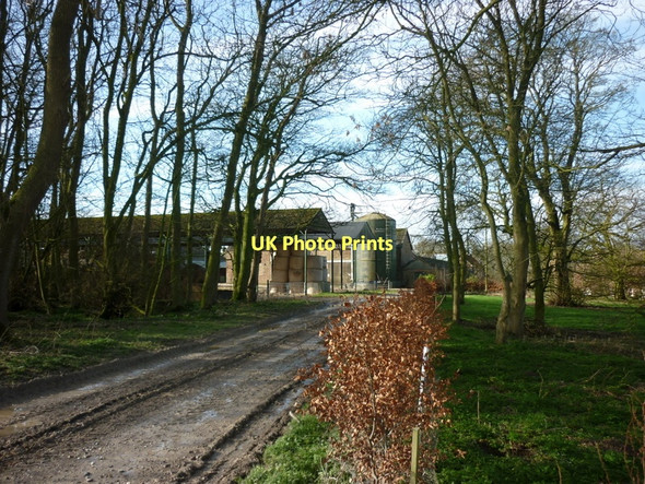 Photo 6"x4" Cottam House Farm Langtoft\/TA0166 c2011