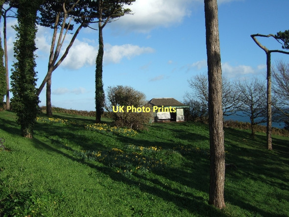Photo 6"x4" Public open space beside Ilsham Marine Drive Ellacombe c2011