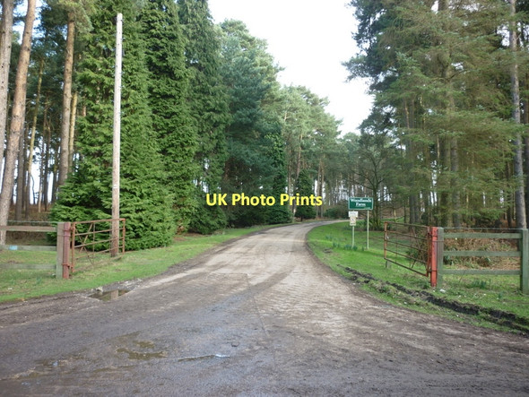Photo 6"x4" The way to Woodlands Farm, off Cliffe Lane Harswell c2011