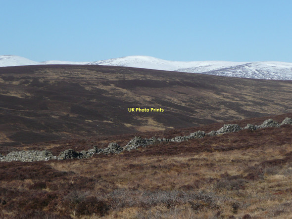 Photo 6"x4" The top wall of the Ruighe Chail enclosures Ruighe Chail c2011