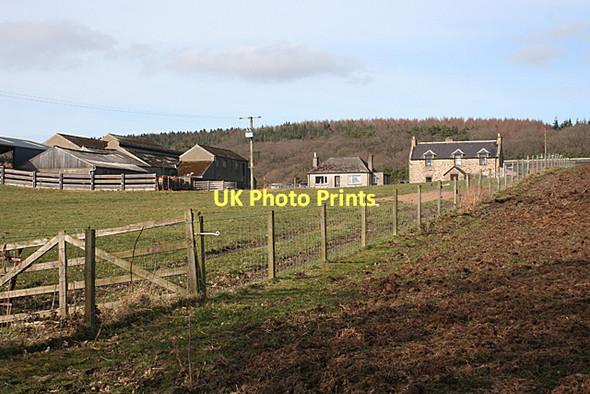 Photo 6"x4" Bruceland Farm Elgin c2011