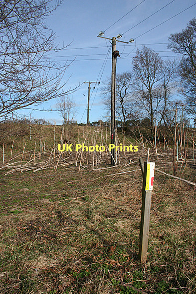 Photo 6"x4" Power Lines Elgin c2011