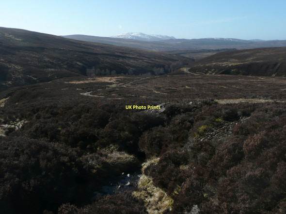Photo 6"x4" Heather moorland Meall Dubh-ghlas c2011