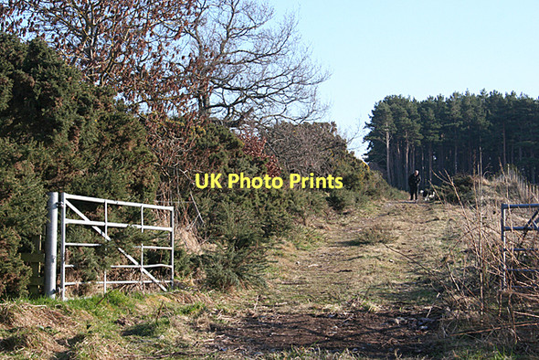 Photo 6"x4" Carden Hill Alves c2011