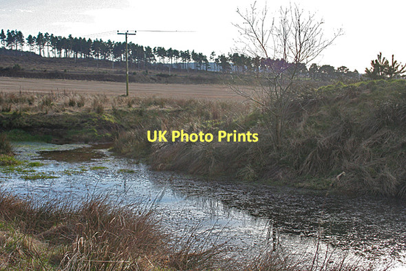 Photo 6"x4" Pond near Earnside Coltfield c2011