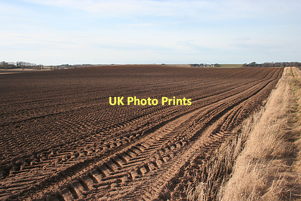 Photo 6"x4" Near Earnside Coltfield c2011