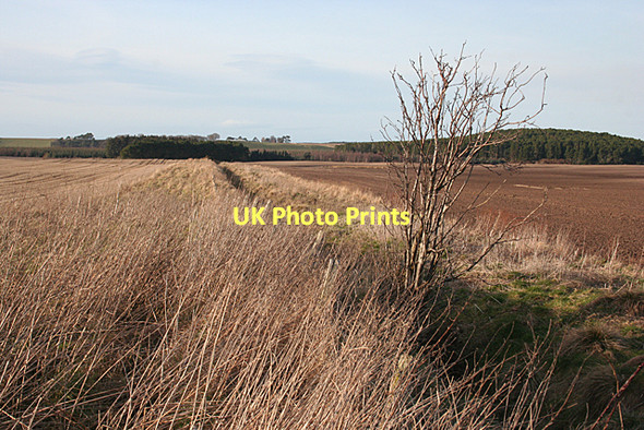 Photo 6"x4" Drainage Ditch Coltfield c2011