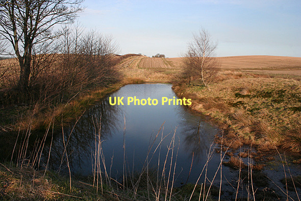 Photo 6"x4" Artificial Pond Alves c2011