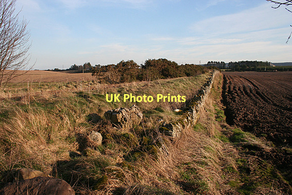 Photo 6"x4" Burghead Branch Embankment Alves c2011