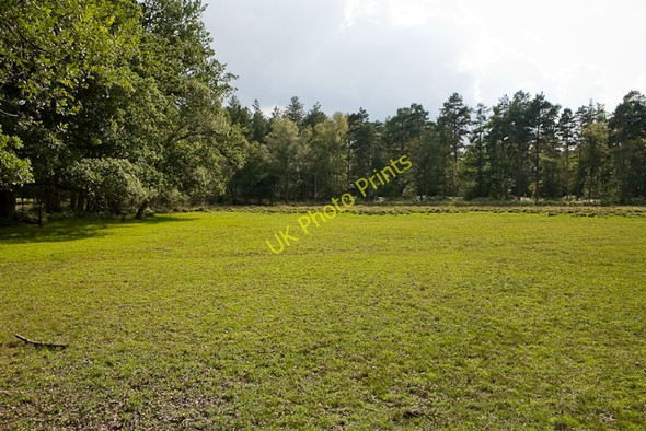 Photo 6"x4" Grassland, part of Poundhill Heath North Weirs c2009