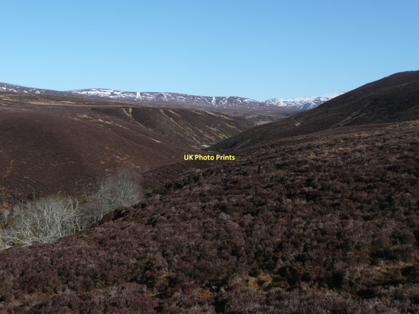 Photo 6"x4" Looking up the gorge of the Allt a' Chireachain Carn a' Chullaich c2011