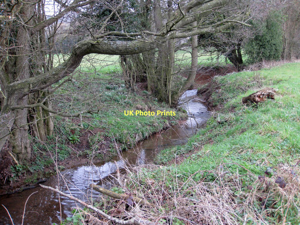 Photo 6"x4" Ell Brook Aston Ingham c2011