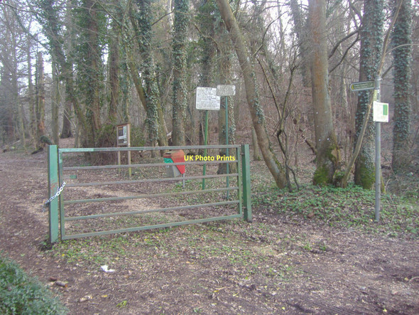 Photo 6"x4" Entrance to Home Wood, Cuffley Newgate Street c2011