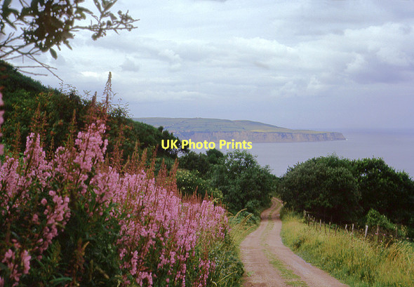 Photo 6"x4" The Cleveland Way near Stoupe Beck, North Yorkshire Fylingthorpe c1972