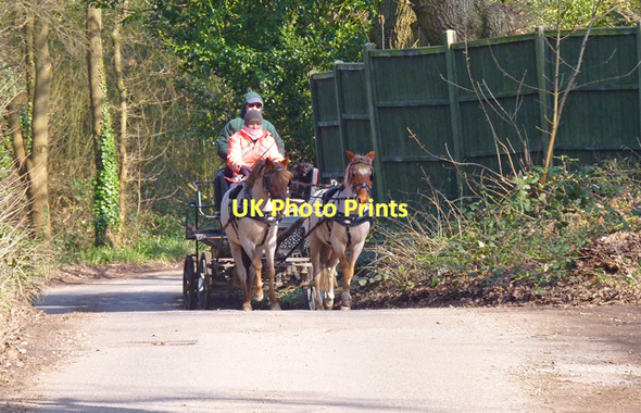 Photo 6"x4" Ponies and Wagon on Marsh Lane Christchurch\/SZ1592 c2011
