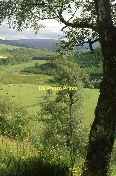 Photo 6"x4" Glen Conglass north of Tomintoul, Moray Tomintoul\/NJ1618 c1974