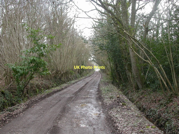 Photo 6"x4" Eastworth, Burrows Lane Romford\/SU0709 c2011