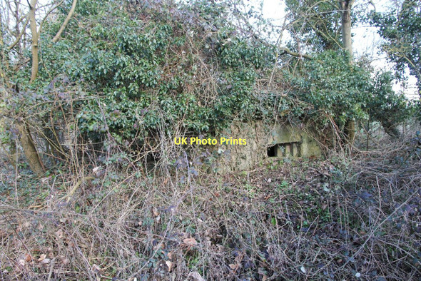 Photo 6"x4" A covering of ivy Rowstock c2011