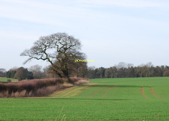 Photo 6"x4" Farmland near Spurley Brook Ellenhall\/SJ8426 c2011