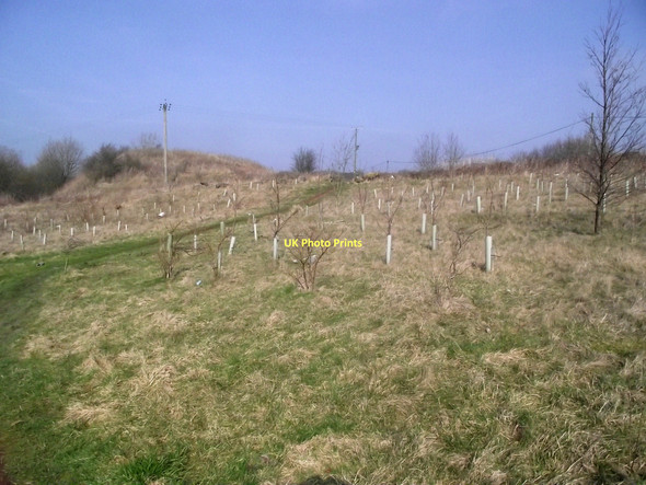 Photo 6"x4" Looking to the entrance Lane Ends\/SJ8754 c2011