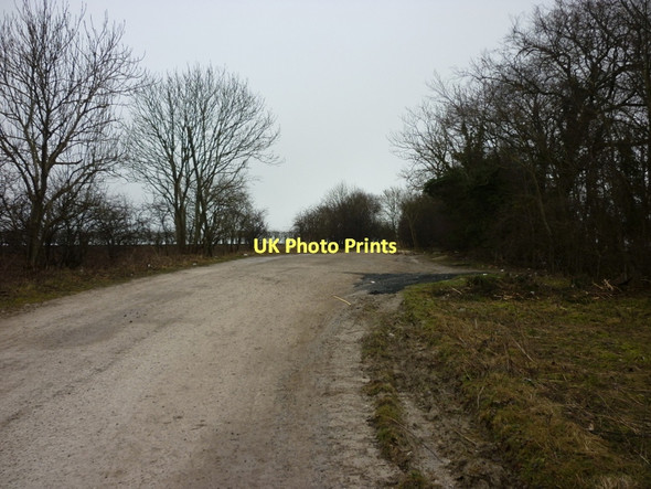 Photo 6"x4" Swinescaif Road towards Little Wold Plantation South Cave c2011