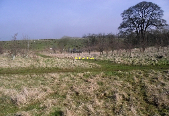 Photo 6"x4" Path junction Lane Ends\/SJ8754 c2011