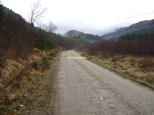 Photo 6"x4" Forestry road in Glen Hurich Glenhurich c2011