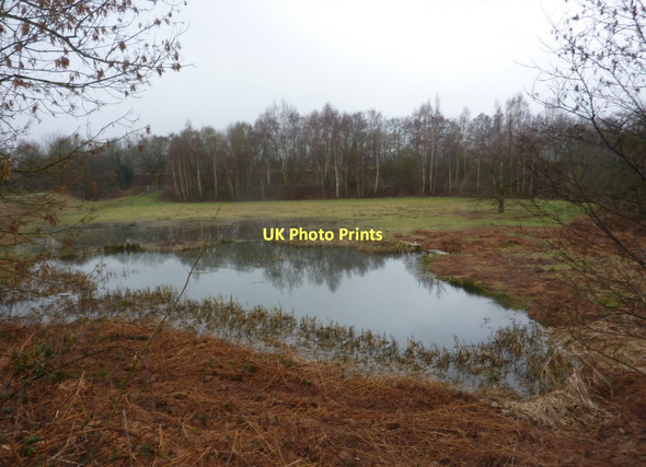 Photo 6"x4" Pool by the Chesterfield canal New Brimington c2011