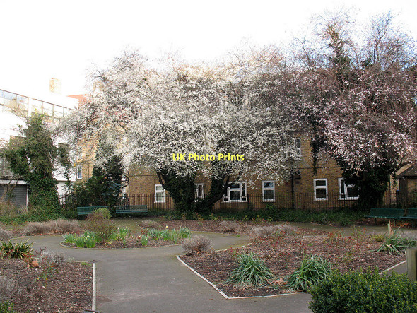 Photo 6"x4" Hankey Place Gardens London c2011