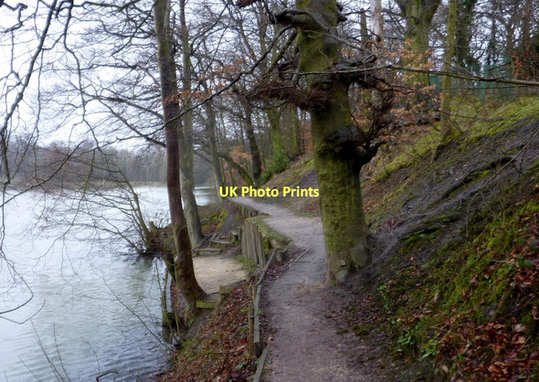 Photo 6"x4" Footpath by the lake in Ringwood Park Staveley\/SK4374 c2011