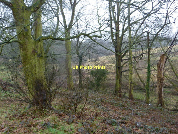 Photo 6"x4" Valley of Trough Brook above Ringwood Farm Staveley\/SK4374 c2011