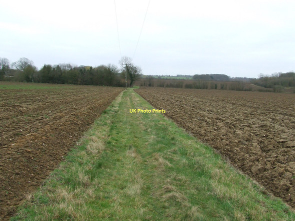 Photo 6"x4" Grassy Footpath Thorpe Green\/TL9354 c2011