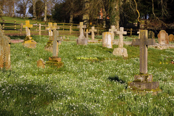 Photo 6"x4" St Botolph churchyard Cookley Green\/SU6990 c2011