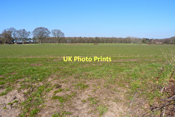 Photo 6"x4" Field, Hurn Court Farm Hurn\/SZ1296 c2011