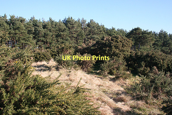Photo 6"x4" Carden Hill Newton\/NJ1663 c2011