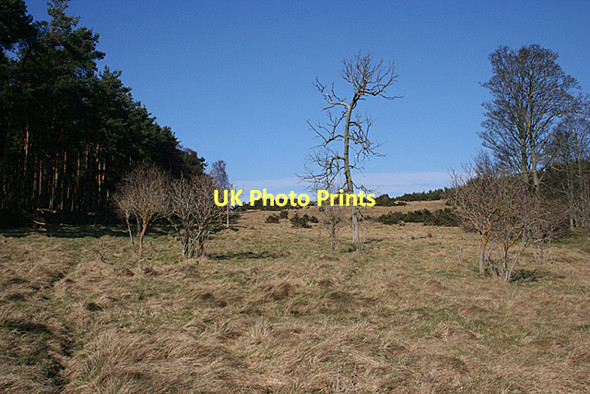 Photo 6"x4" Carden Hill Newton\/NJ1663 c2011