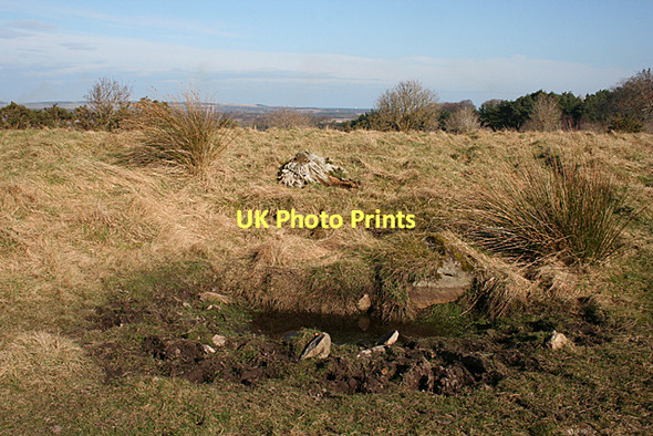 Photo 6"x4" Water Hole Newton\/NJ1663 c2011
