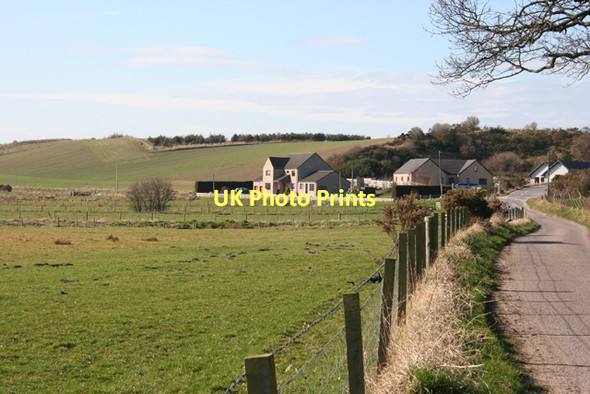 Photo 6"x4" New Houses near Hempriggs Coltfield c2011