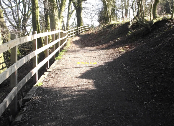 Photo 6"x4" Up the path Biddulph c2011